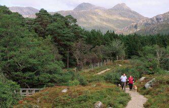 Ariundle Oakwood National Nature Reserve