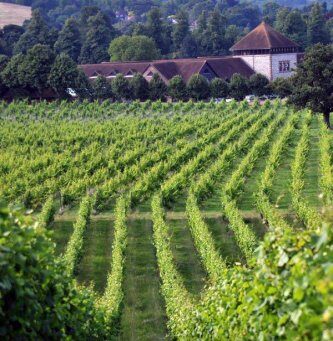Denbies Wine Estate Ltd