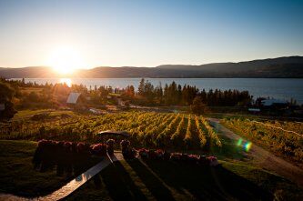 Summerhill Pyramid Winery