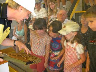 Planet Bee Honey Farm & Meadery