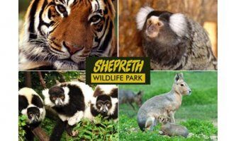 Shepreth Wildlife Park