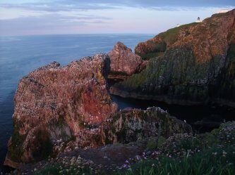 St Abb’s Head National Nature Reserve