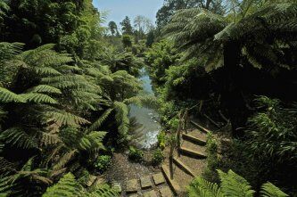 The Lost Gardens of Heligan