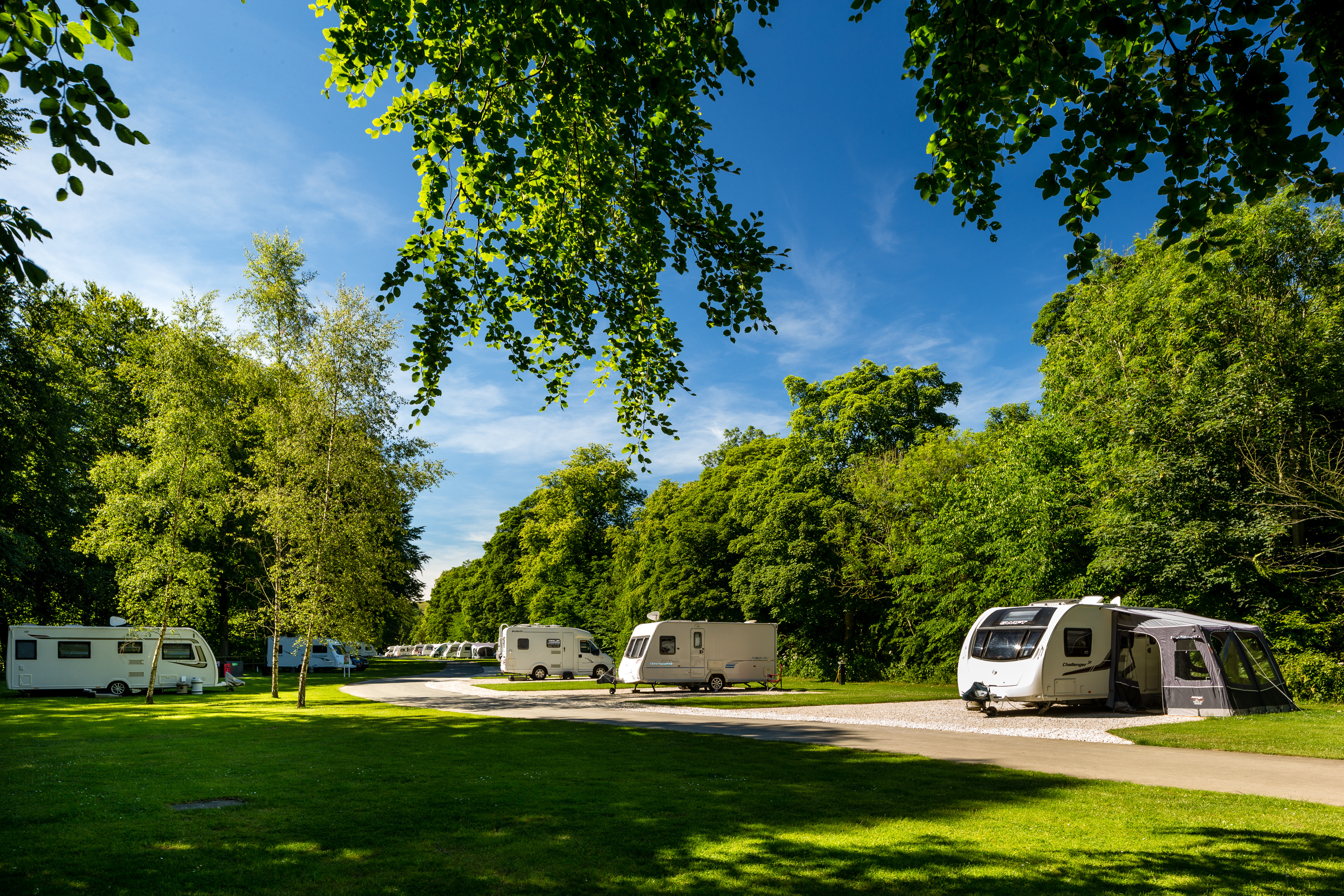The Howard Rosedale Abbey