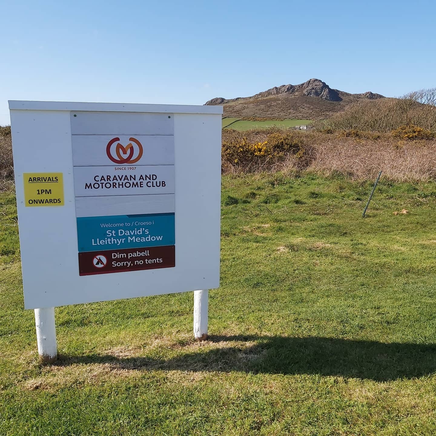 St David’s Lleithyr Meadow