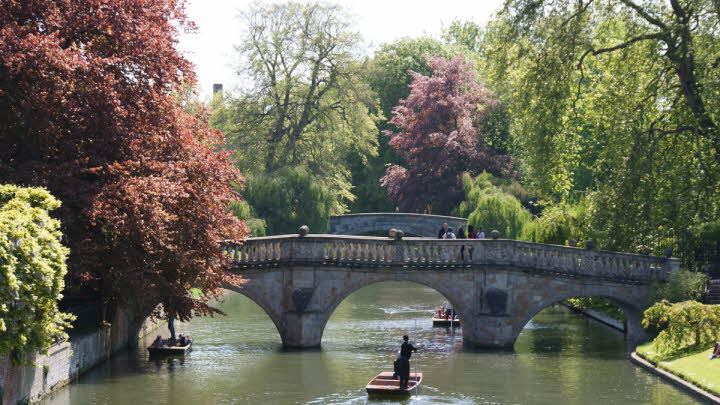 Cambridge Cherry Hinton