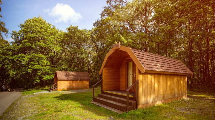 Coniston Park Coppice